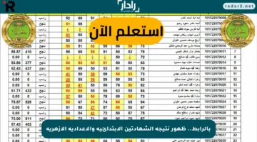 بالرابط.. ظهور نتيجة الشهادتين الابتدائية والإعدادية الأزهرية